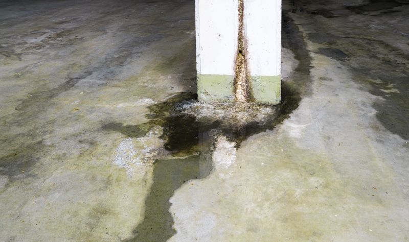 Leaking Foundation Repair in Larimer County, CO